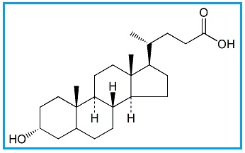 Ursodeoxycholic Acid EP Impurity C